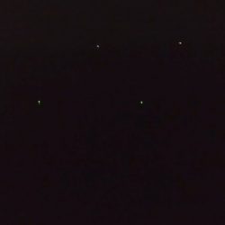 ツバッシング＆タチウオ調査