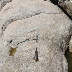 マゴチ＆エギング