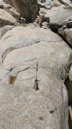 マゴチ＆エギング