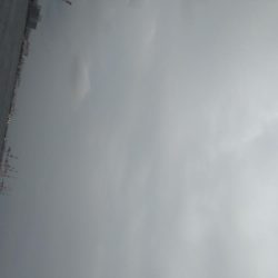 オンスタックルさんのイベントに参加