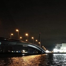 【釣り】南港ヘチ釣行 (8/29 天候不安定の南港ヘチ。。ガシラ、シーバス 釣果有り)