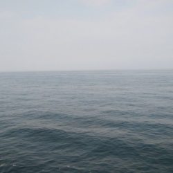 肉の日フィッシング