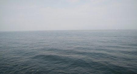 肉の日フィッシング