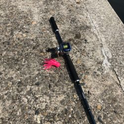 オクトッパッシング