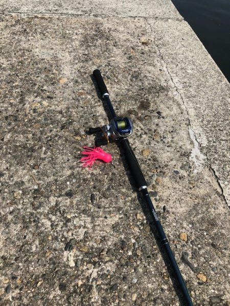 オクトッパッシング