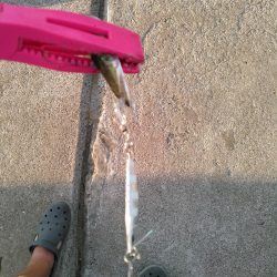 ライトショアジギング