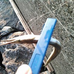 浜名湖 ライトゲーム