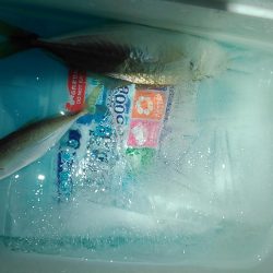 浜名湖 アジング ナイトゲーム