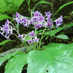 ルアーの違いで！？