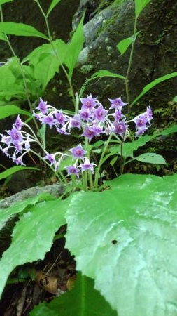 ルアーの違いで！？