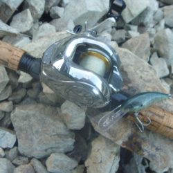 浮きゴミ狙いで