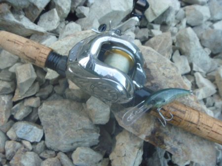 浮きゴミ狙いで