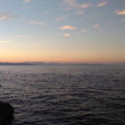 ダイソージグで青物