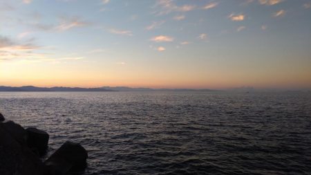 ダイソージグで青物