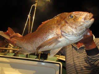 松福丸 釣果