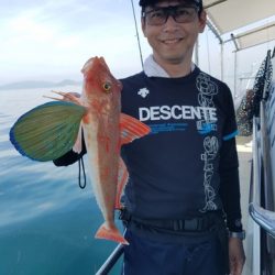 遊漁船 ニライカナイ 釣果