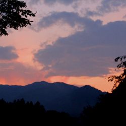 小菅トラウトガーデン 釣果