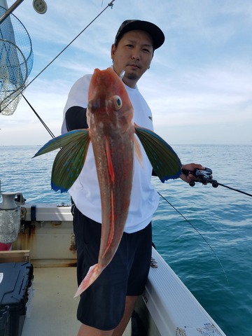 遊漁船 ニライカナイ 釣果