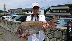 まこと渡船 釣果