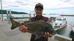 まこと渡船 釣果