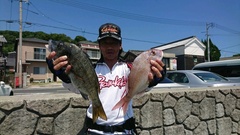 まこと渡船 釣果