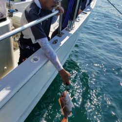 遊漁船 ニライカナイ 釣果