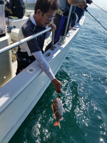 遊漁船 ニライカナイ 釣果
