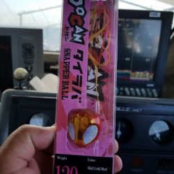 遊漁船 ニライカナイ 釣果