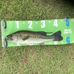 富山県小撫川ダム釣果【モコ氏連載 vol.8】