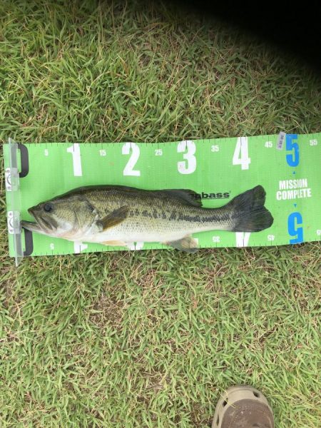 富山県小撫川ダム釣果【モコ氏連載 vol.8】