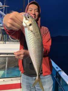 愛海丸 釣果