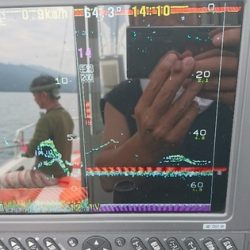 遊漁船ブルーウッズ 釣果