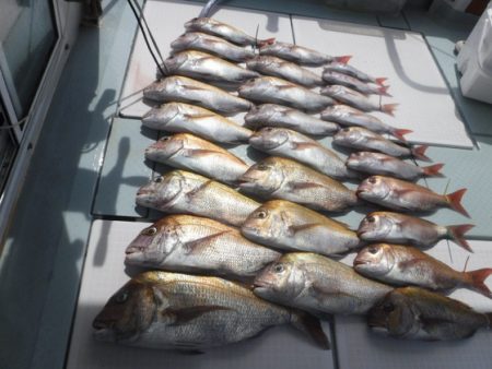 遊漁船 幸友丸 釣果