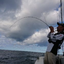 IDATEN（イダテン） 釣果