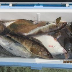 大進丸(新潟) 釣果