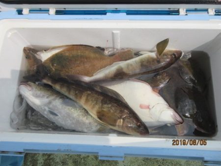 大進丸(新潟) 釣果