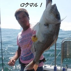 遊漁船 幸友丸 釣果