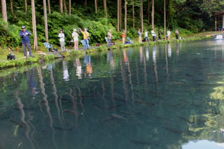 小菅トラウトガーデン 釣果