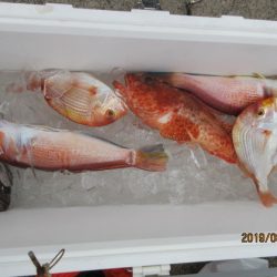 大進丸(新潟) 釣果