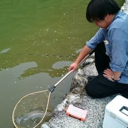 フィッシングエリア帝釈 釣果