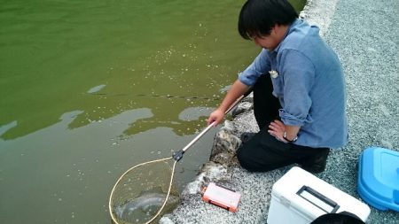 フィッシングエリア帝釈 釣果