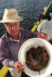 KONAYAーMARU(こなや丸) 釣果