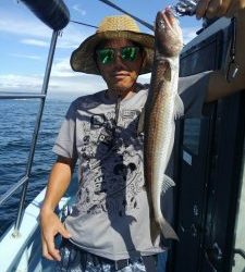 東京湾探釣隊ぼっち 釣果