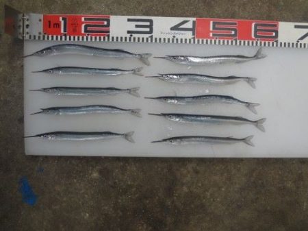 のとじま臨海公園海づりセンター 釣果