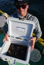 KONAYAーMARU(こなや丸) 釣果