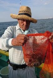 KONAYAーMARU(こなや丸) 釣果