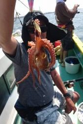 KONAYAーMARU(こなや丸) 釣果