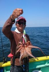 KONAYAーMARU(こなや丸) 釣果