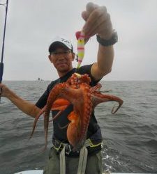 東京湾探釣隊ぼっち 釣果