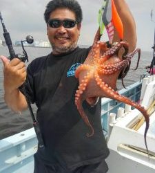 東京湾探釣隊ぼっち 釣果